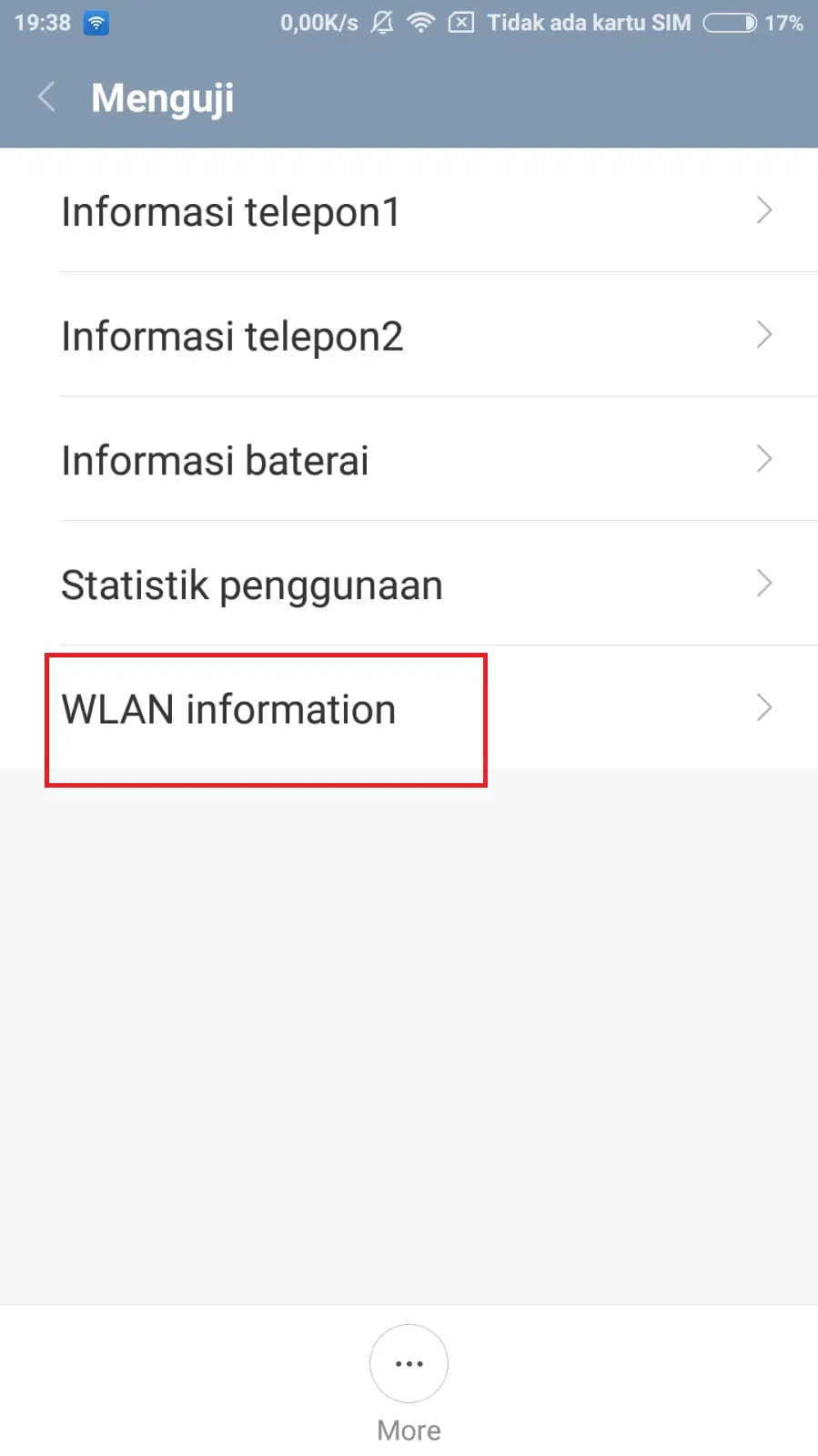 Tekan 4x Memori Internal dan pilih WLAN Information